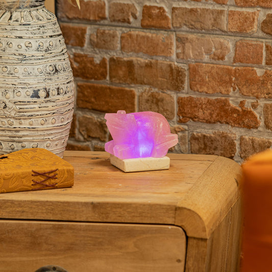 USB Toad Shaped (Multi)
