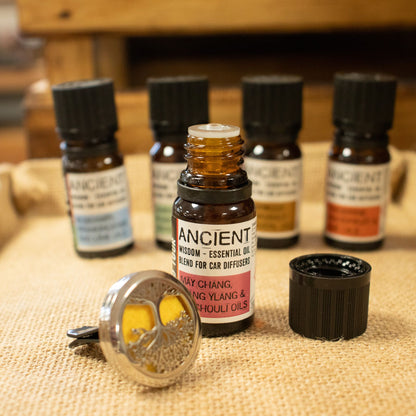 10ml Aromatherapy Car Blend - Traffic Jam