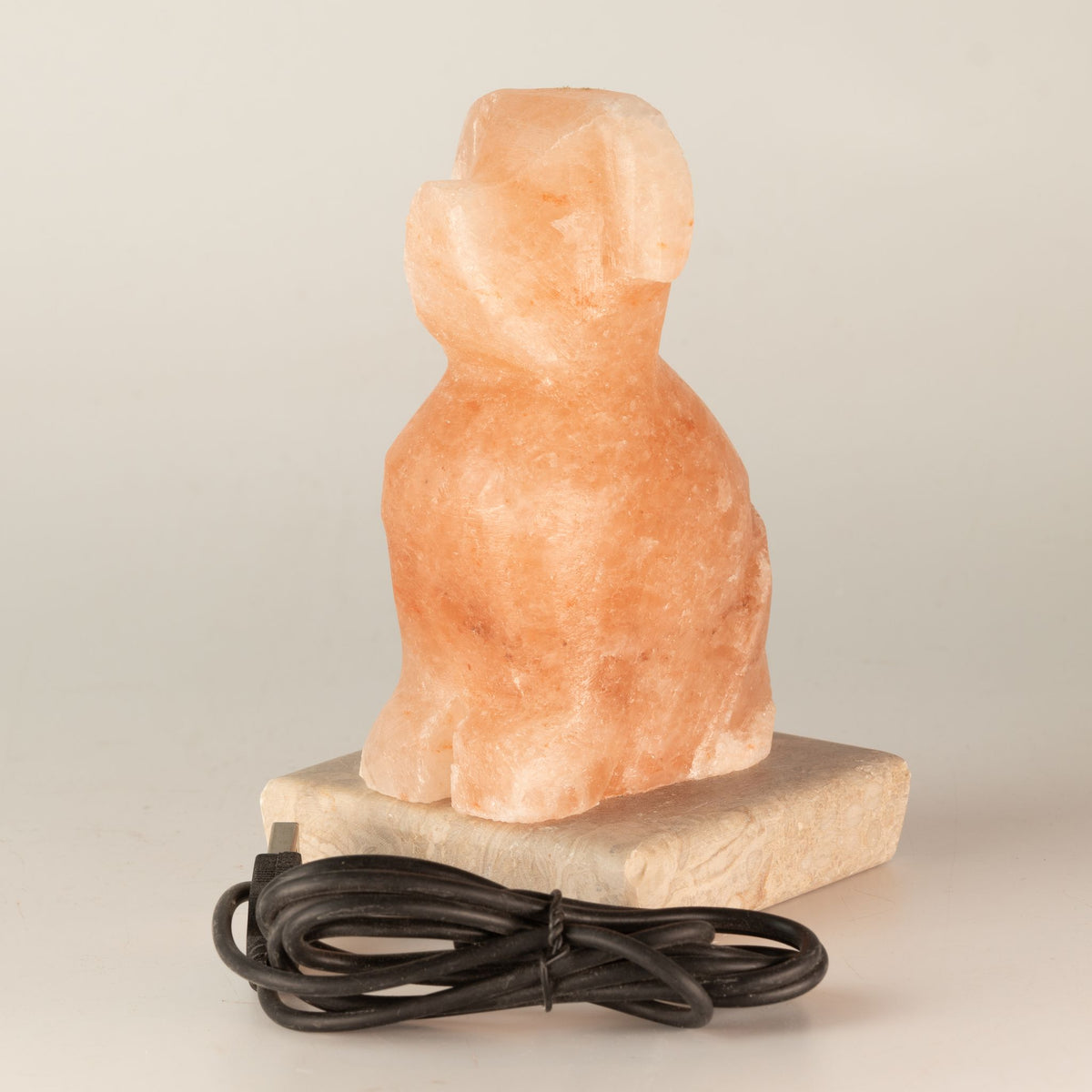 USB Dog Shaped (Multi)