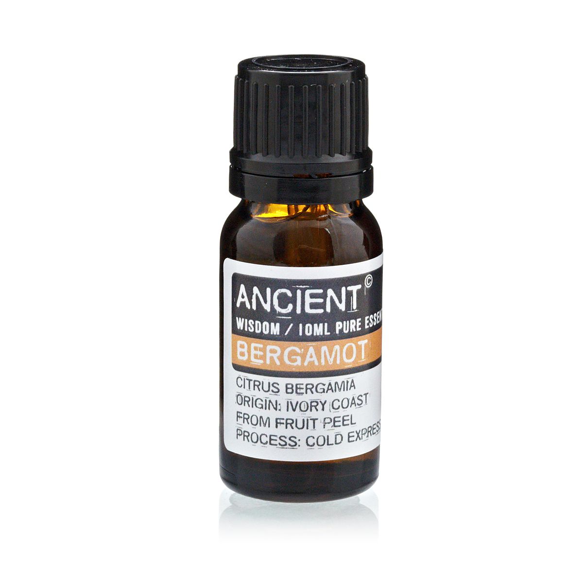 Everyday Aroma Starter Set