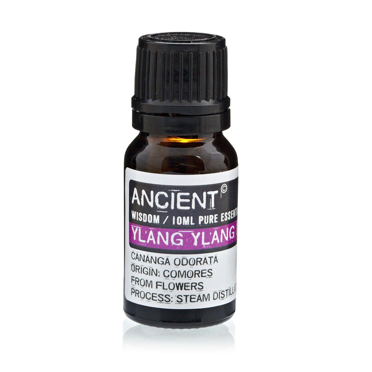 Everyday Aroma Starter Set