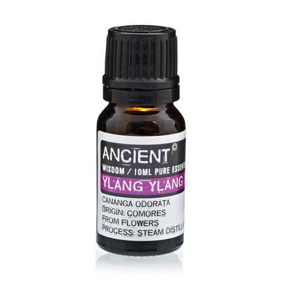 Everyday Aroma Starter Set