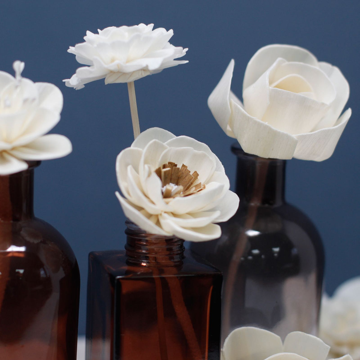 Natural Diffuser Flowers – Large Carnation on String