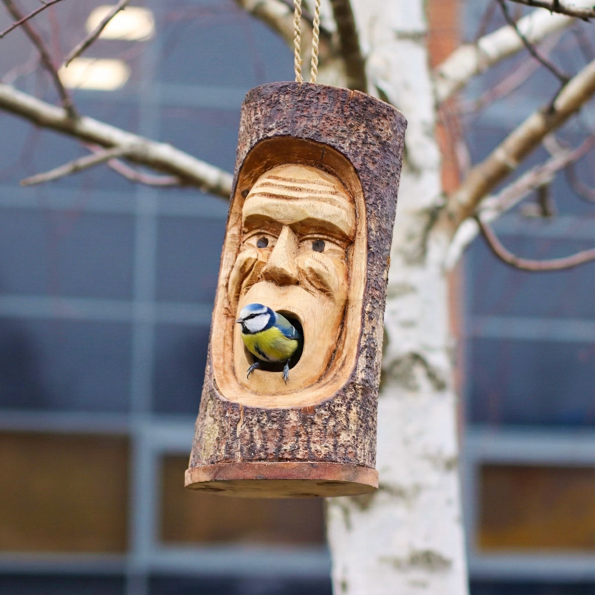 Tree Trunk Face - Bird House - Grumpy Old Man