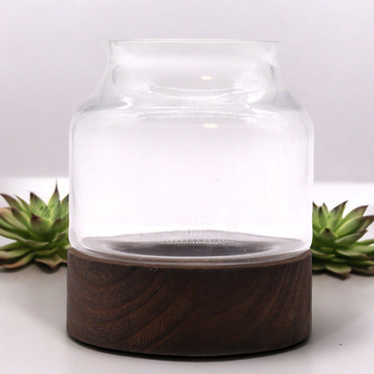 Small Shaped Terrarium on Dark Tung Wood
