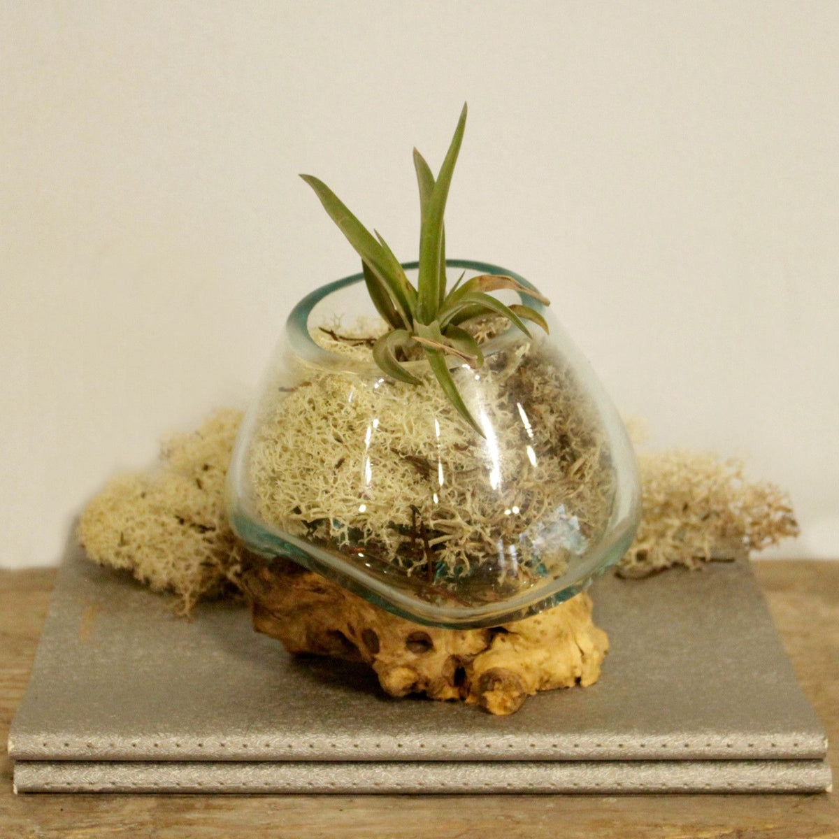 Molten Glass on Wood - Small Bowl