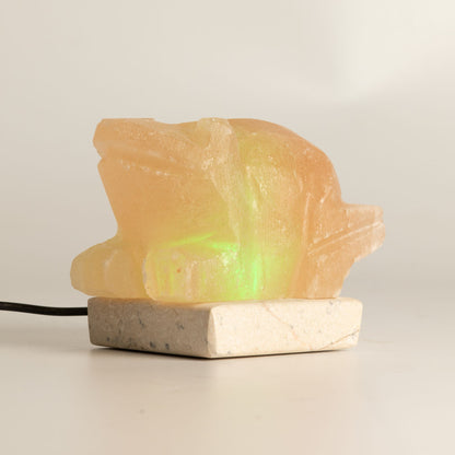 USB Toad Shaped (Multi)