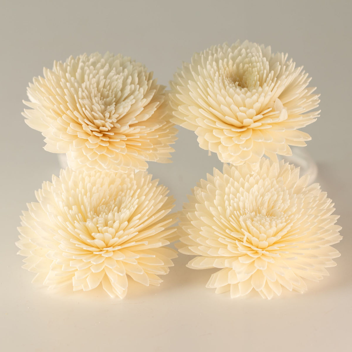 Natural Diffuser Flowers – Large Carnation on String
