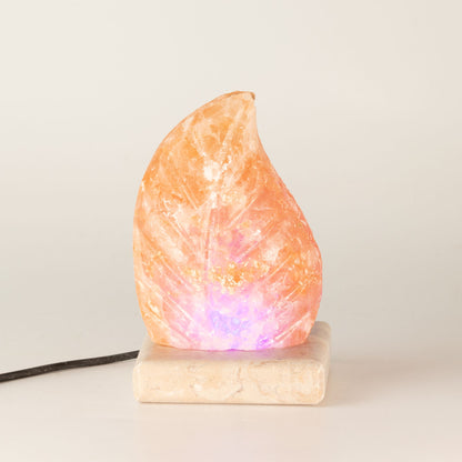 USB leaf Shaped (Multi)
