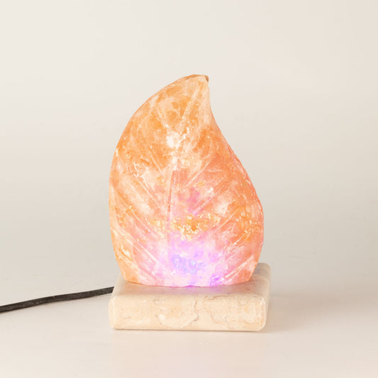 USB leaf Shaped (Multi)