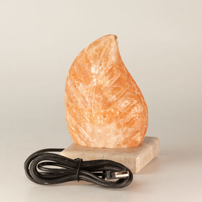 USB leaf Shaped (Multi)