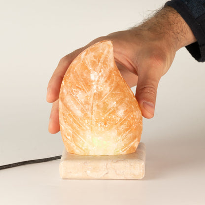 USB leaf Shaped (Multi)